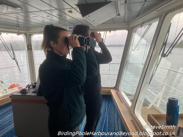 Today's Blog Post covers the Cetacean survey from Roscoff to Plymouth back in May
Roscoff to Plymouth with Orca