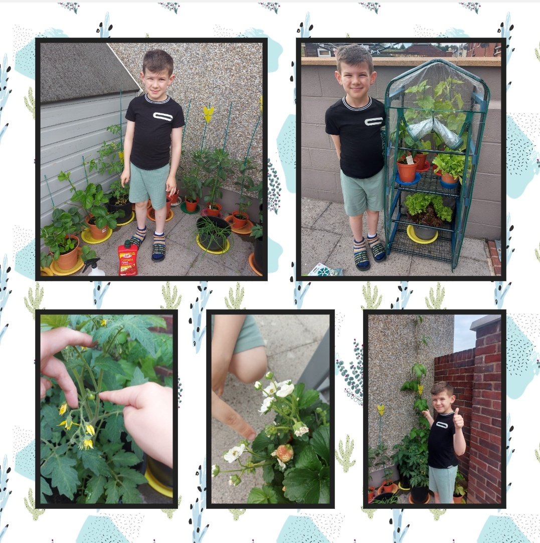 Donna80Williams's tweet photo. QW has been a busy gardener and is now starting to see the rewards. He's been watering them 3 times every day in this hot weather π±π§π₯ππ
π«π§
#firsttimegardener #homegrownisbest @MarkhamHead @MarkhamYear5 @MarkhamYear3 @MarkhamYear4 https://t.co/r07HywIxq3