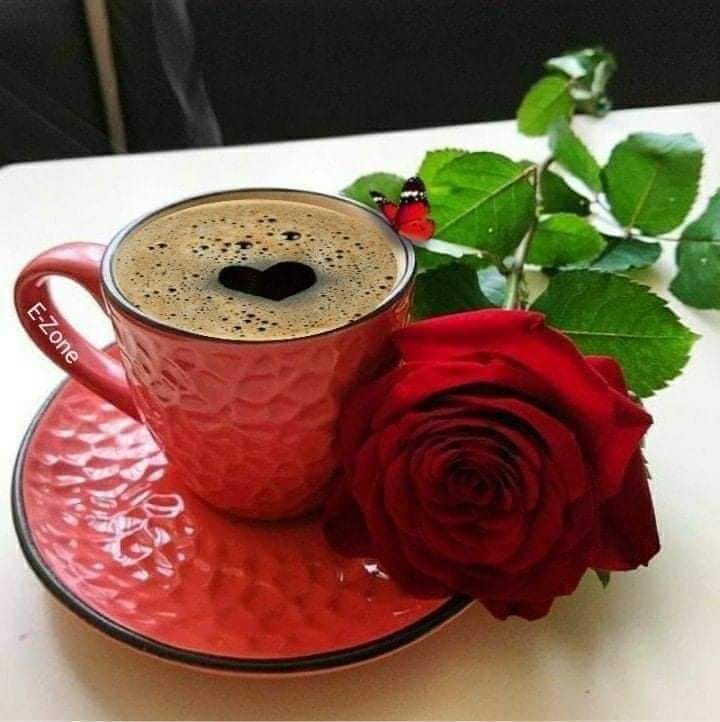 ulus0y45's tweet photo. @UtkuBa98056194 İyi aksamlar https://t.co/xEzAbhj52r