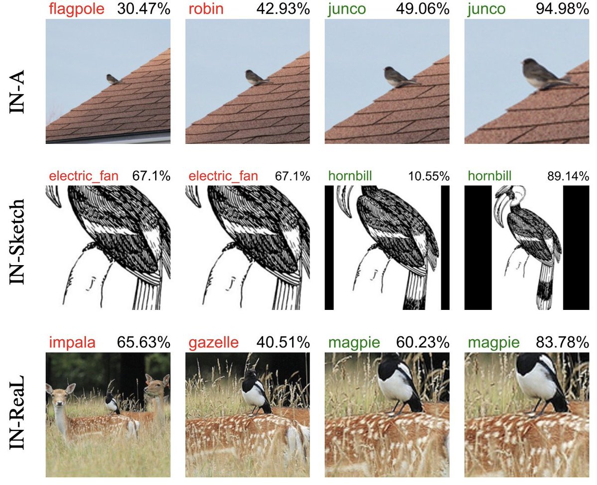 For example, zoom-in helps models correctly classify in (junco) and (magpie). 
Zoom-out also helps, but mostly on abstract images (e.g. ImageNet-Sketch) (hornbill).

3/n