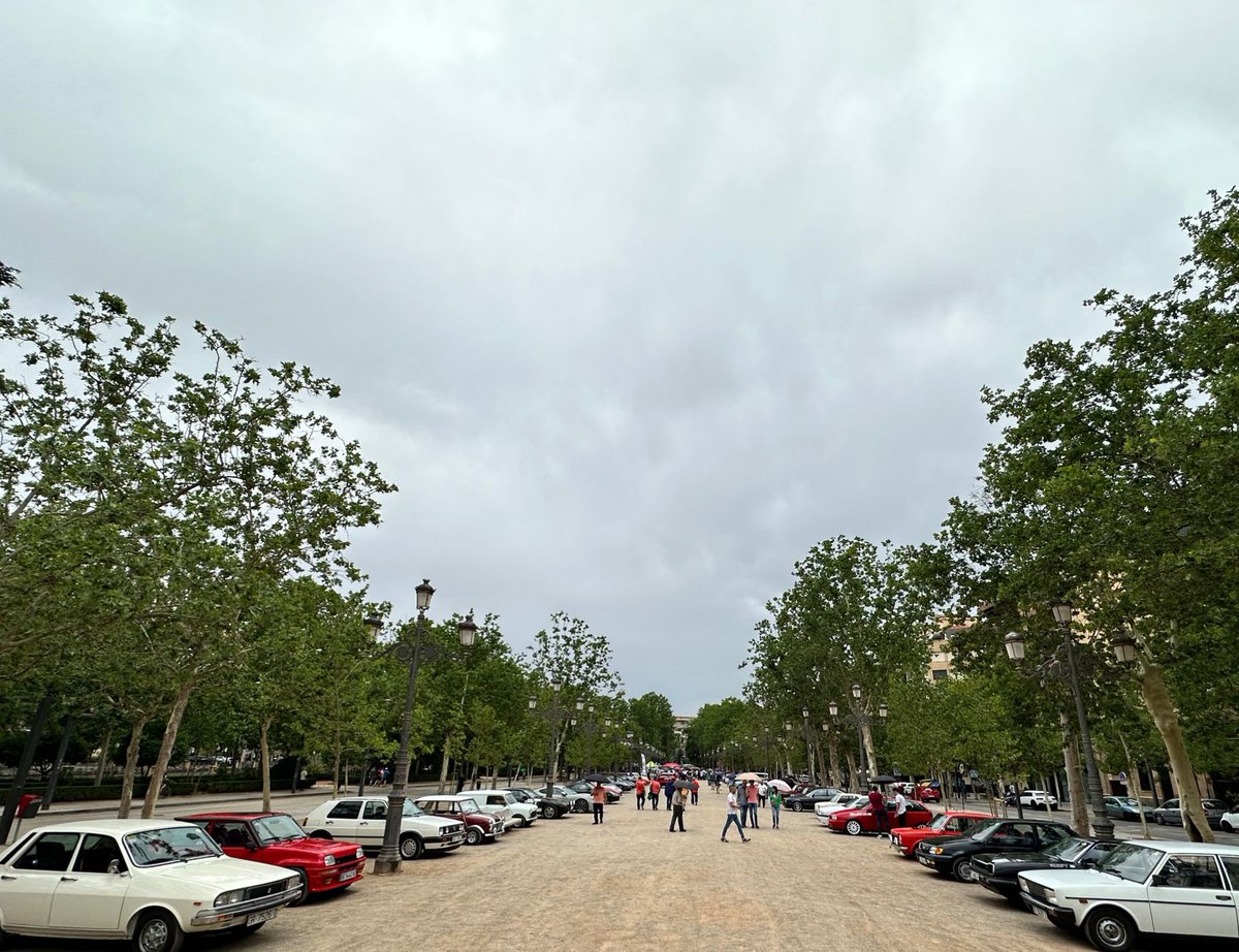 EscGranada499's tweet photo. X Festival motor por la vida en Granada, en el que contábamos con casi 90 vehículos clásicos, de competición y Porsche en el mítico Paseo del Salón https://t.co/Q5fLyyR6wq