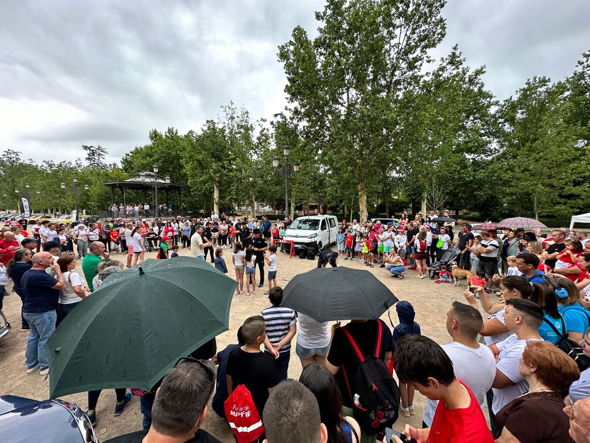 EscGranada499's tweet photo. X Festival motor por la vida en Granada, en el que contábamos con casi 90 vehículos clásicos, de competición y Porsche en el mítico Paseo del Salón https://t.co/Q5fLyyR6wq