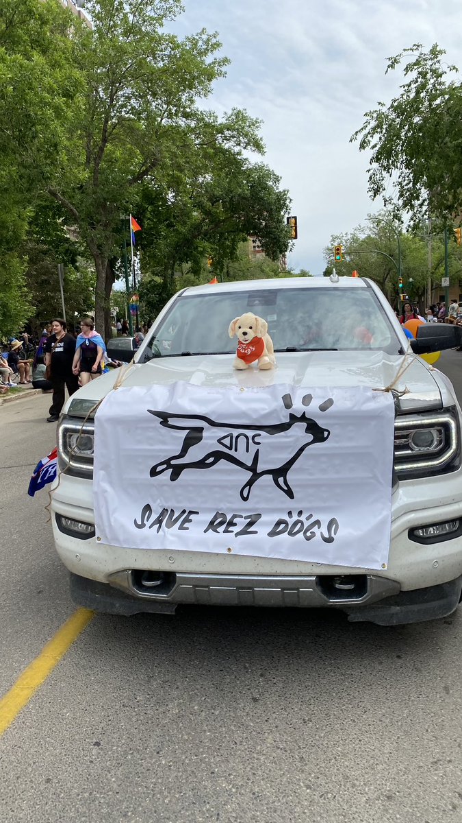 saverezdogs tweet media