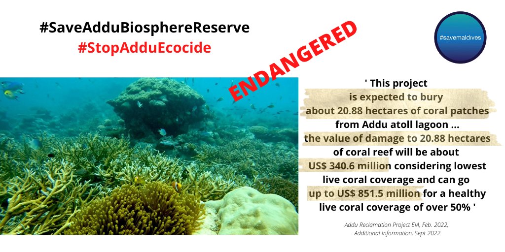 SaveMaldivesMV's tweet photo. @governmentmv might be desperate to mislead public &amp; make up stories that dredging won't #KillAddu.
Reality is that dredging causes sedimentation.
No #Dutch expert can contain sedimentation &amp; we have seen this everywhere.
Corals will suffocate.
Marine life will be buried alive. https://t.co/YtRDHJZYOV