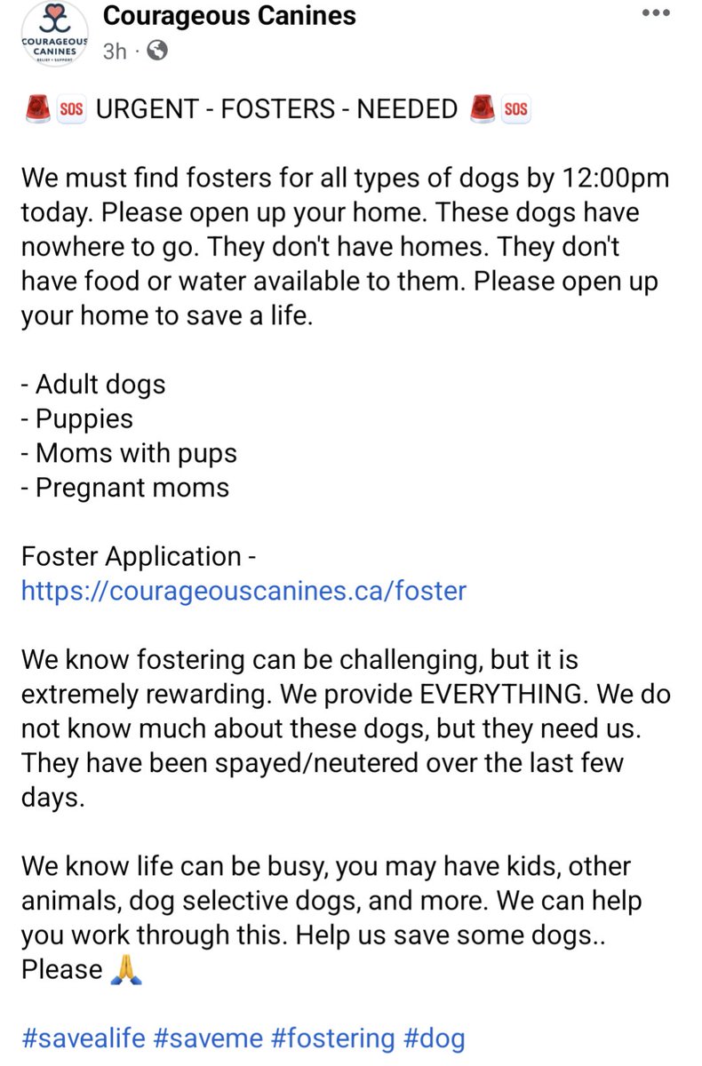 cmcalgary's tweet photo. Courageous Canines needs some people to help foster ❤️

https://t.co/fIG1iElmZB @jannarden @nenshi #yyc #yycdogs https://t.co/8eEJ1DvnzN