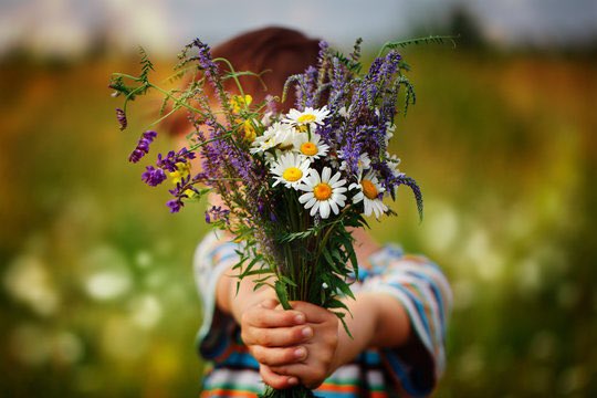 binth_imthiyas_'s tweet photo. You don't need to prove yourself to others; Allah knows everything, Allah knows what is in every heart..

"As long as Allah knows of your good intentions, don't grieve over their bad intentions." https://t.co/t5RtCBsCVj