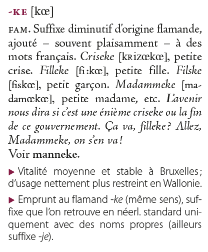 Voyons ce que disent les bons auteurs...
Par exemple 😉 dans le Dictionnaire des belgicismes: