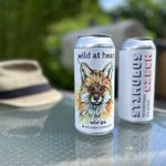 Photo by Callister Brewing (@callisterbeer)