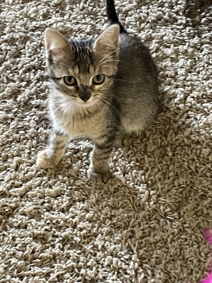 Some personal news: I’m now a grandma 🙄😼