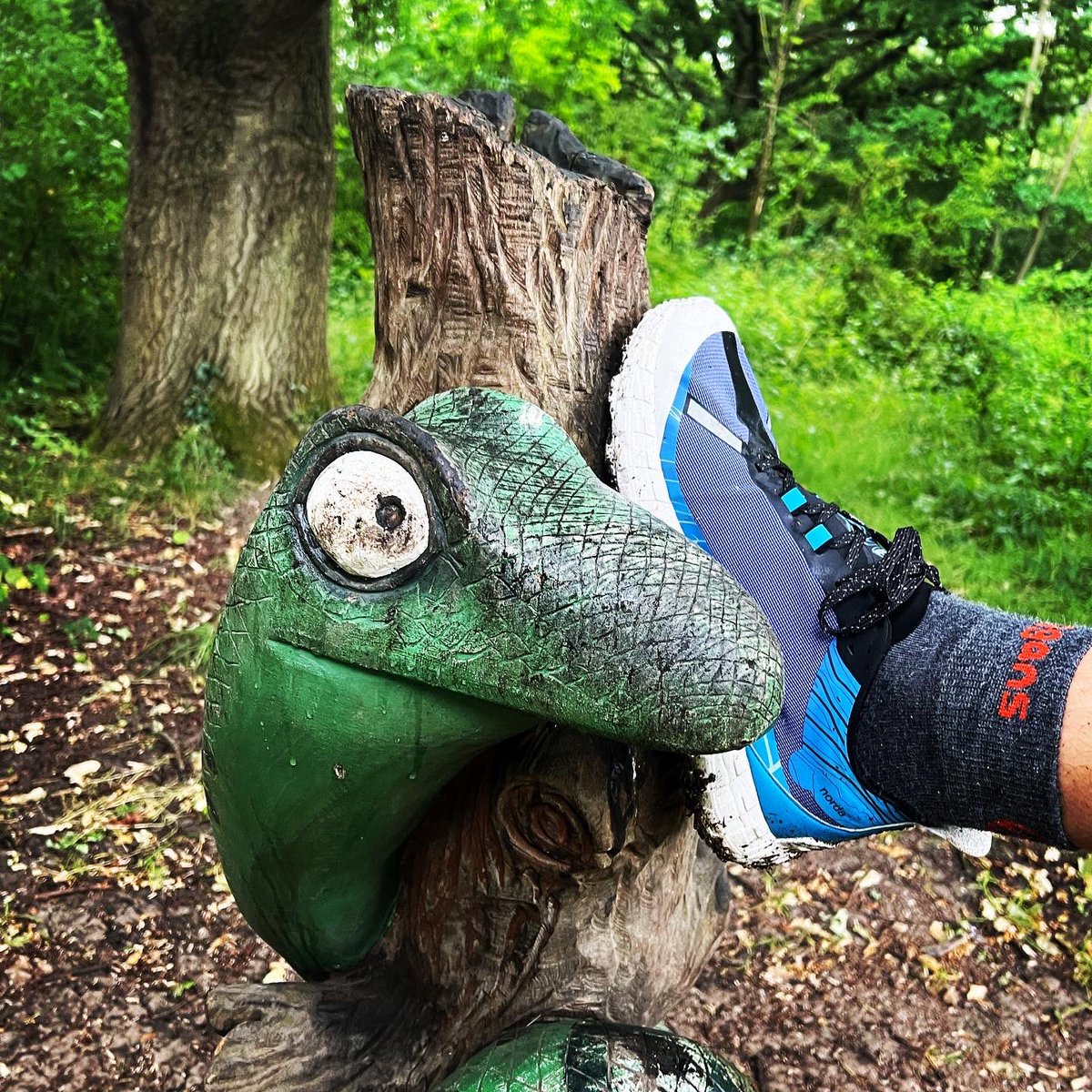 Afternoon slow jogging in the rain 🌧️🐌🏃🏻‍♂️
2H of rain was not enough for muddy trails but it was worth it to jog and test new shoes in rain 🤪
Real test will in Snowdon24h 😂 in July 🤘🏻

#róbswoje
#byhiroakitanaka 
#slowhero
#slowheroteam
#slowisthenewfast 
#slowjogging