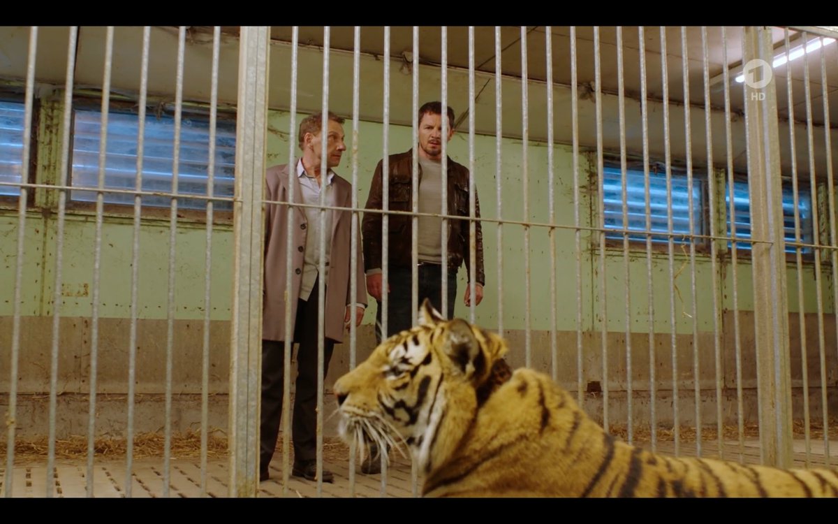 Schwäbische Tiger King #Tatort