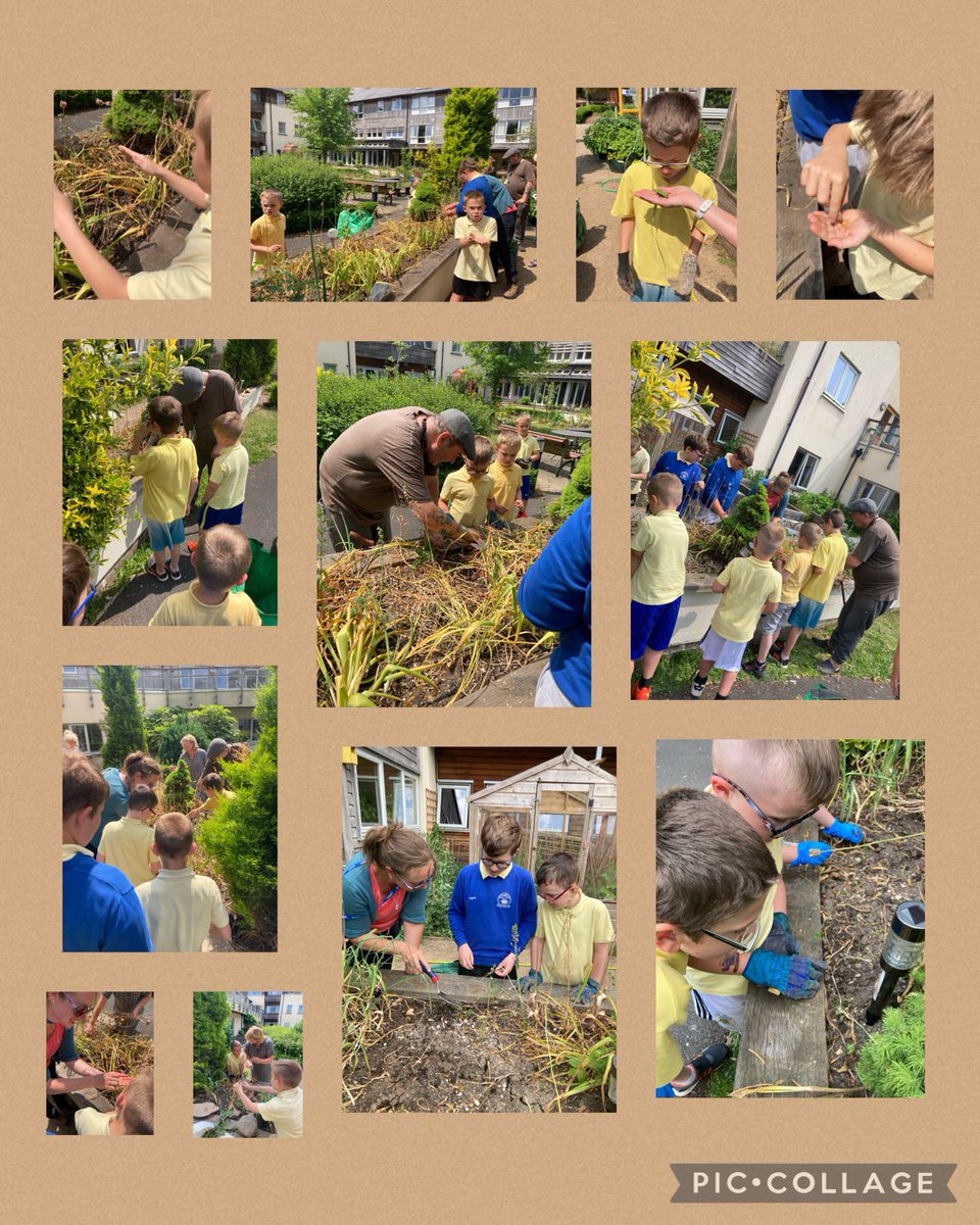 Eco Warriors RYF tweet media