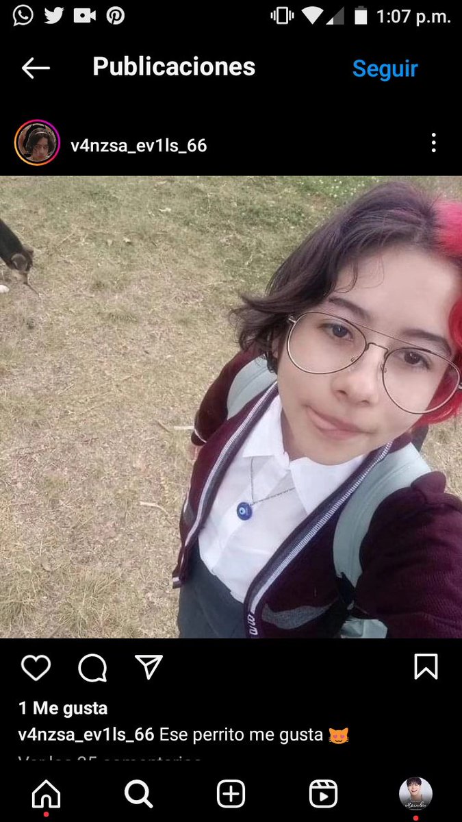 _Puffymoon_'s tweet photo. Esta chica "adoptará" a otro perrito para hacer lo mismo que con huellitas 😡🤬🤬 por favor hagan algo #JusticiaParaHuellitas #NoAlMaltratoAnimal #proteccionanimal #Huellitas #JusticiaPorHuellitas https://t.co/sjU8TOCc5N