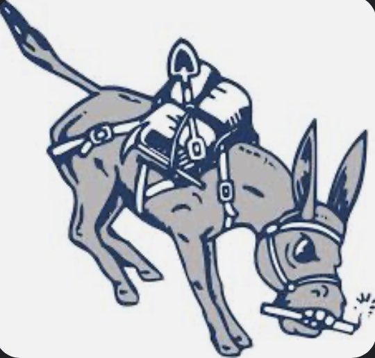 Garrett Carleton tweet media