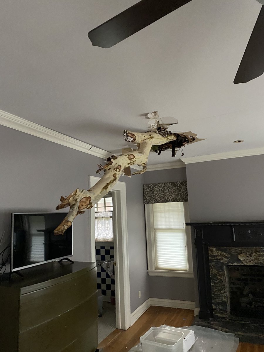 seanplatham's tweet photo. 100mph winds last night in Tulsa nearly wrecked us. All safe, but the city’s two oldest Sycamores are on the house. The dagger through the bedroom ceiling nearly killed us. Three gaping holes in the roof and no power for a long time since poles sheared like matchsticks. https://t.co/QBedysKpzW