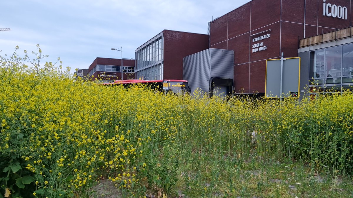 Wat ruist er door het struikgewas?