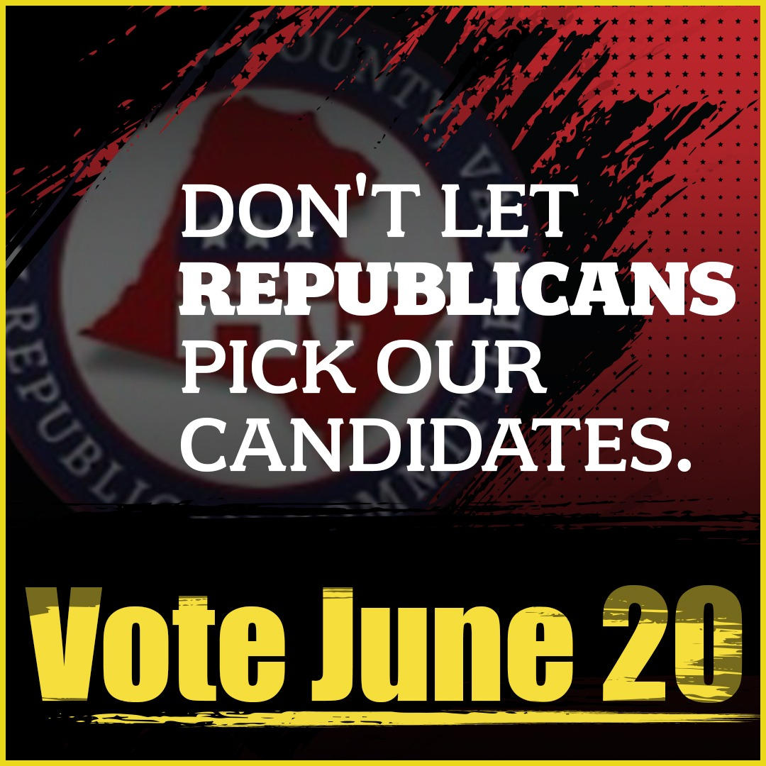 loudoun dems.  vote like our lives depend on it.  TUESDAY.