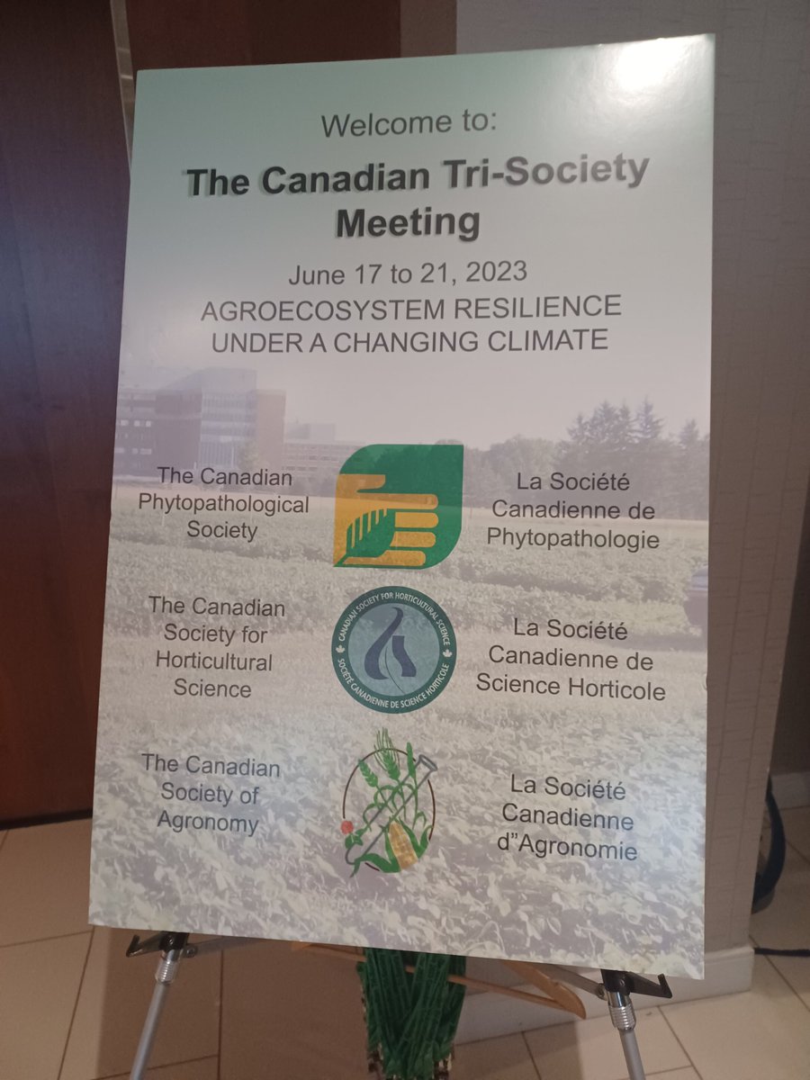 GuillaumeBilod2's tweet photo. #CanTrisociety2023
Start of our meeting. Happy to see you colleagues!
@phytopathca
@AgronomyCanada
@CanadianHortSci 
#plants
#Ottawa
#research 
#networking
#fun
#CPS-CSA-CSHS
#Science https://t.co/EyfPMxVe0c