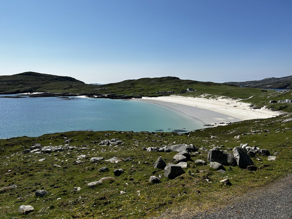 Stevie Gil tweet media