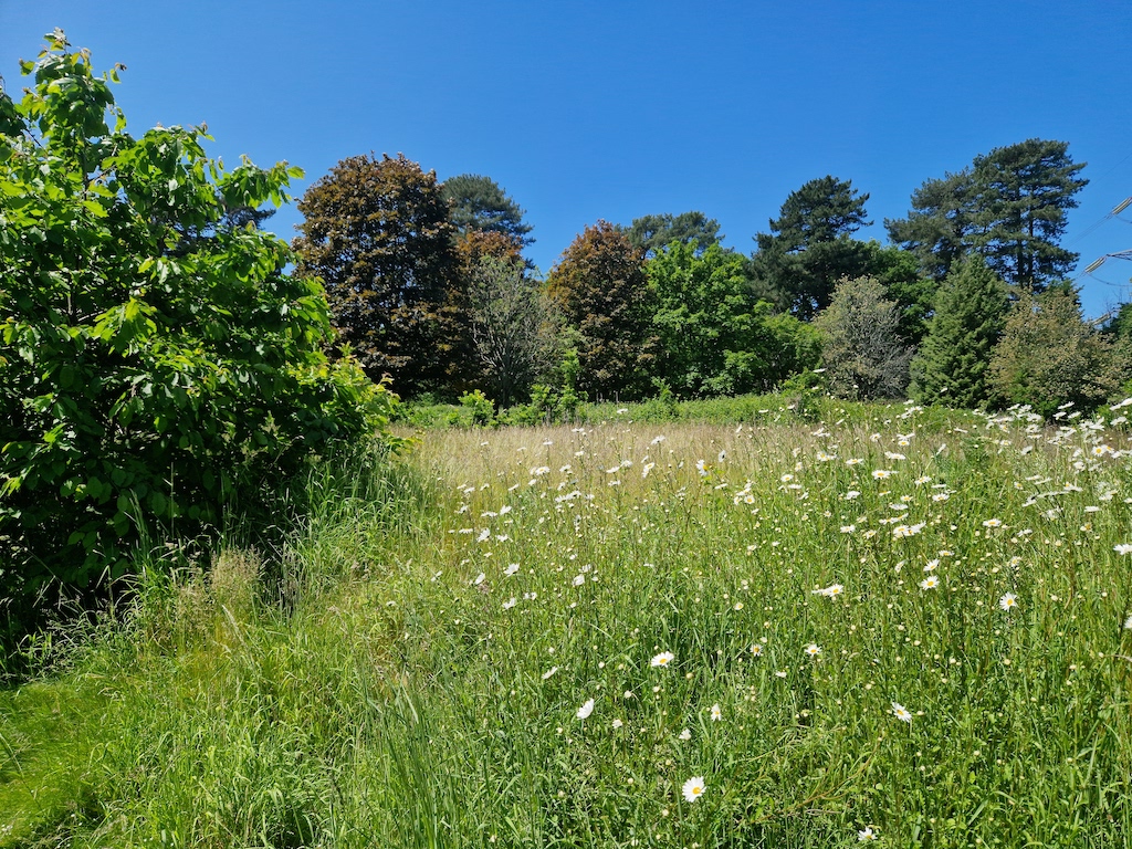 Fleming Park entries open socweb.org/news/2023/06/1…