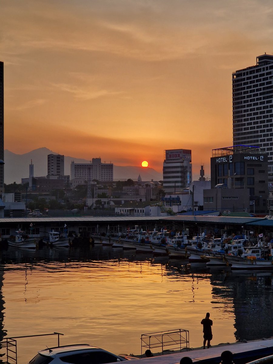 Młody 🇵🇱 tweet media