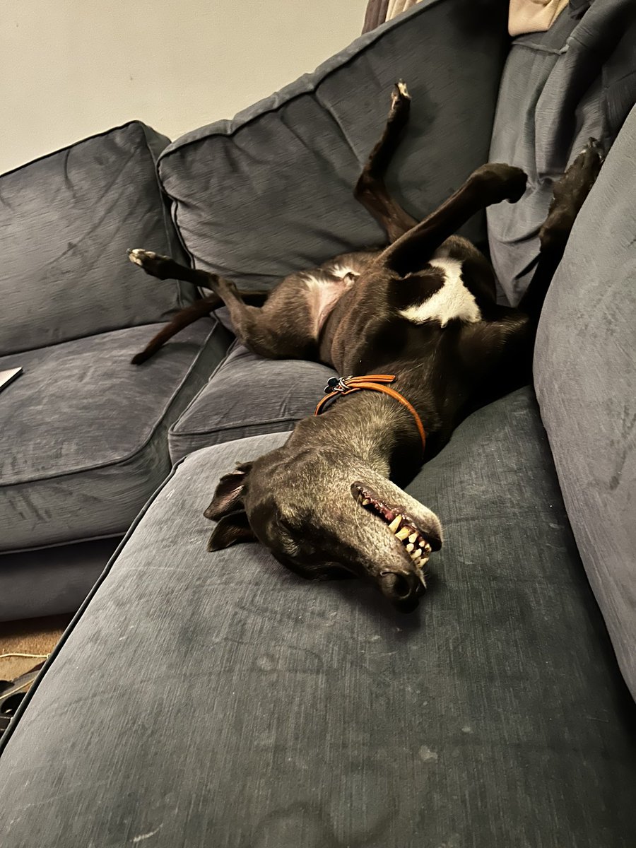 cathknibbs tweet media