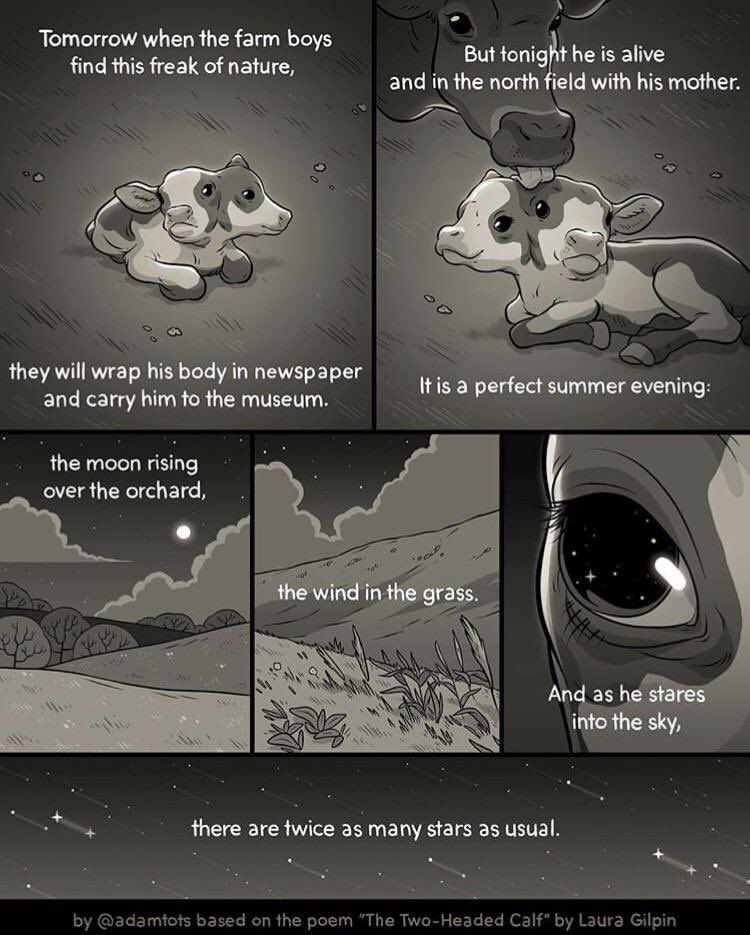 empress sissi (@historicalfits) on Twitter photo 