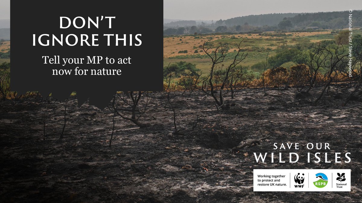 If enough of us take action, we can't be ignored.

Click here to tell your MP to stand up for nature and help #SaveOurWildIsles: ow.ly/Rl3n50OQZKP