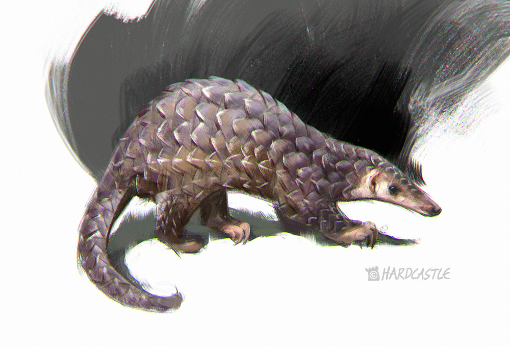 softshack's tweet photo. Some paintings of animals.  Experimenting with different ways to incorporate a vignette. https://t.co/xWuIREAbn4