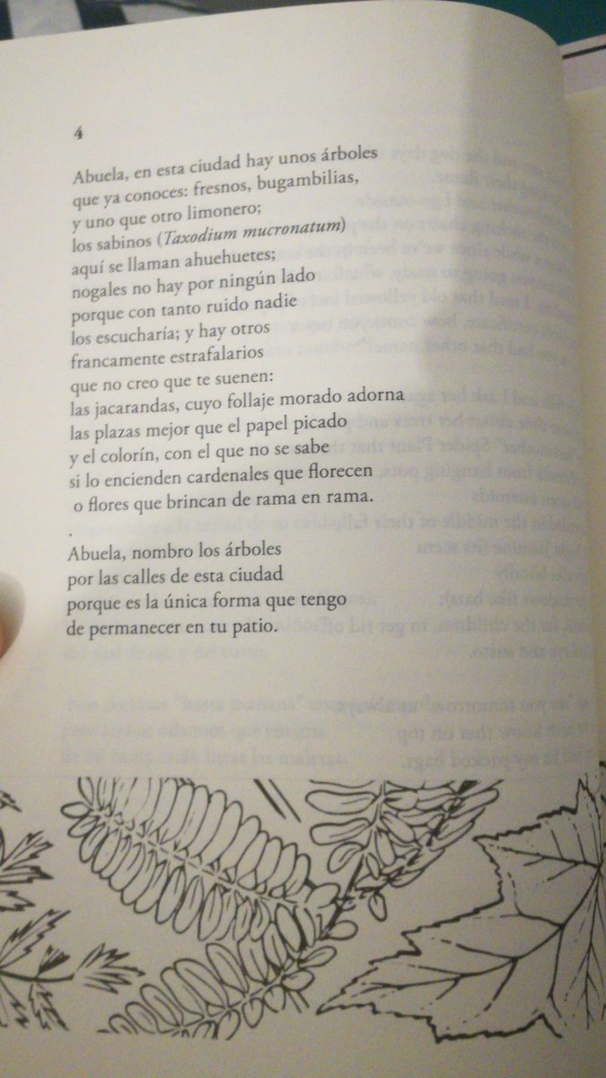 Nos decimos "hasta mañana" como siempre,/ pero ambos sabemos que encima/ de mi cama están listas las maletas.

El otro nombre de los árboles (2018) de Jorge Gutiérrez Reyna, en Montañas and three or four ríos

edita <a href="/MeninasCar/">Meninas Cartoneras</a>