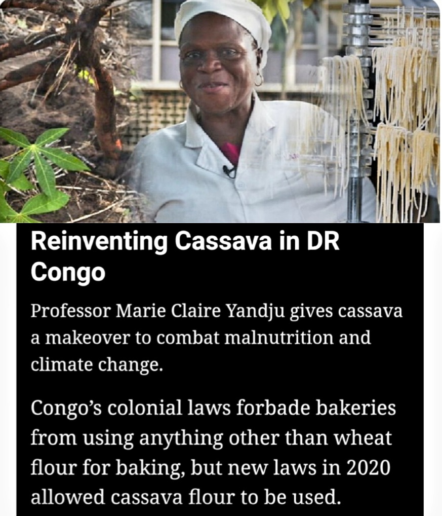 StudioAfrika's tweet image. 🇨🇩 :Congrats to Prof. Yandju of DRC , creating #CassavaFlour after 200+ yrs., repealing #colonialLaw.
Africa Direct @AlJazeeraWorld