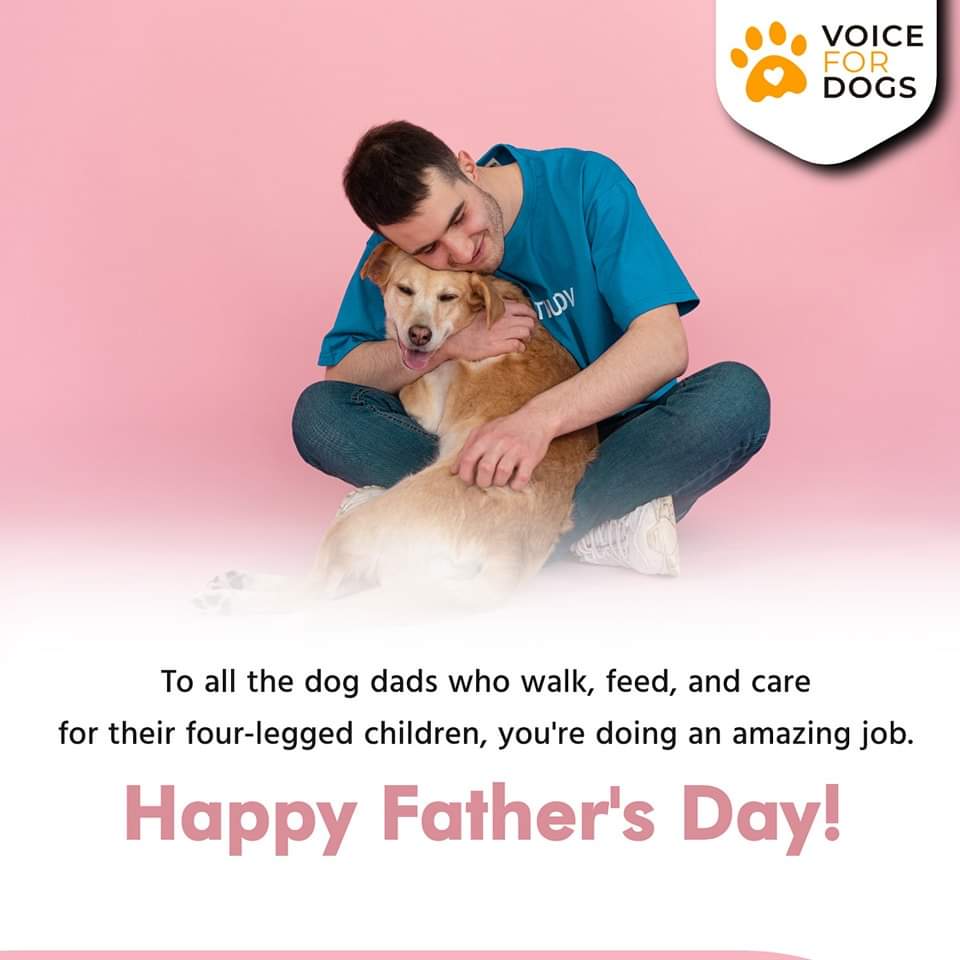 VoiceForDogsOrg's tweet image. Happy Fathers&apos; Day to all the incredible dog dads around the world! 🥰
#fathersdaydog #dogdadlife #fathersday2023