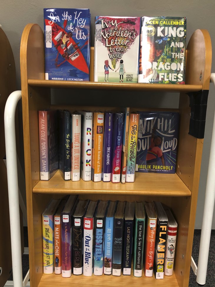 Look at these terrific #PrideMonth displays from my local library! Very proud of @WVPLPA!