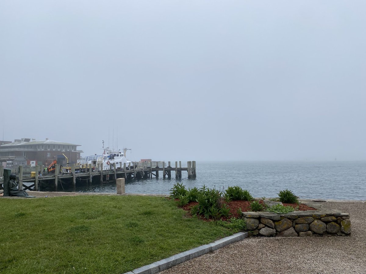 Jon Hibshman (@jonhibsh) on Twitter photo The past week at <a href="/MBLScience/">Marine Biological Laboratory (MBL)</a> as a TA for #embryo23 has been magical. What an amazing place filled with incredibly enthusiastic, curious, smart people! The past week at <a href="/MBLScience/">Marine Biological Laboratory (MBL)</a> as a TA for #embryo23 has been magical. What an amazing place filled with incredibly enthusiastic, curious, smart people!