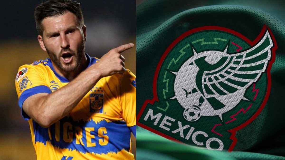 sporterrey's tweet photo. 🇲🇽 Gignac al Tri, Diego Cocca abre la puerta de la Selección mexicana. 

Diego Cocca acepta a los extranjeros y no existiría ninguna traba por parte del estratega para convocar al que ha sido el mejor jugador de la Liga MX

Nota: https://t.co/RsOczBpkbu https://t.co/Zz5ORwYlpN