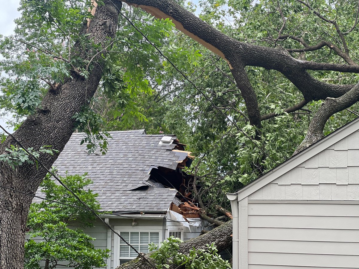 Bethany Hashemi tweet media