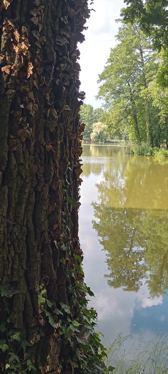 Sachsen meine Heimat