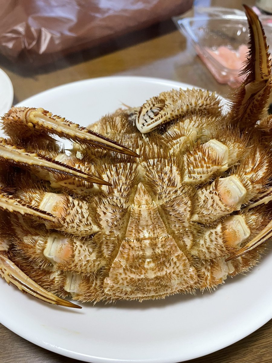 バイバイまたね、カサグランデ。 https://t.co/TRk9GdWPUt