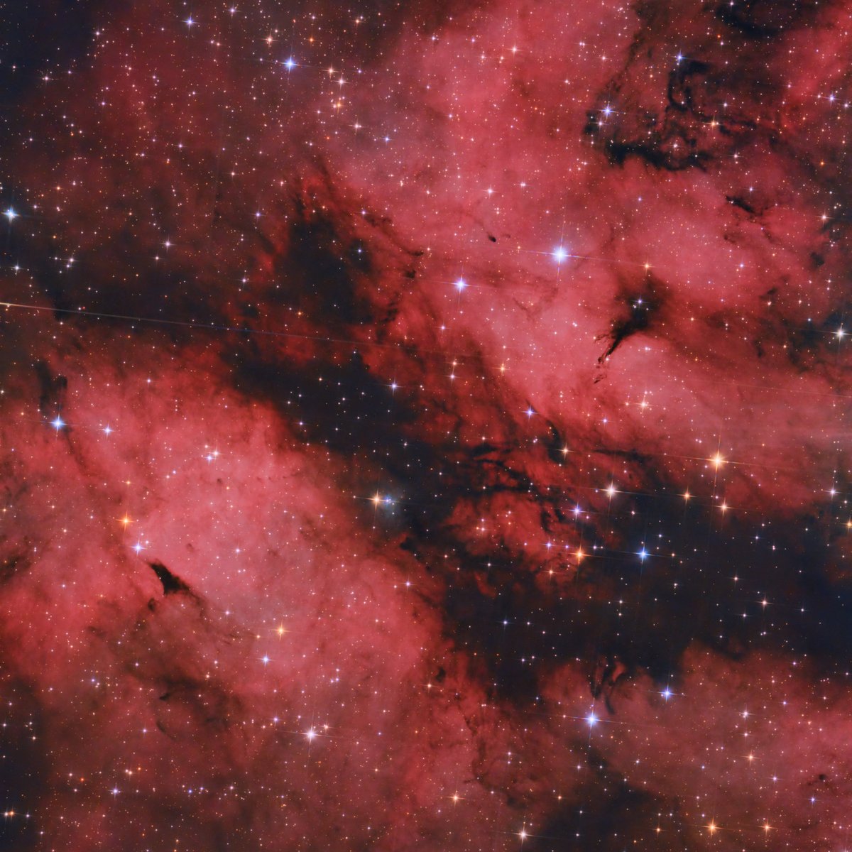 NetSmilingj's tweet photo. IC 1318: The Butterfly Nebula

Right next to the bright star Sard lies a region known as IC 1318 Butterfly Nebula.

Blog: https://t.co/zjDAhMj9Ah

#astrophotography #ic1318 #butterflynebula #heq5pro #130pds #asi294mcpro https://t.co/z7CqR2Ksuq