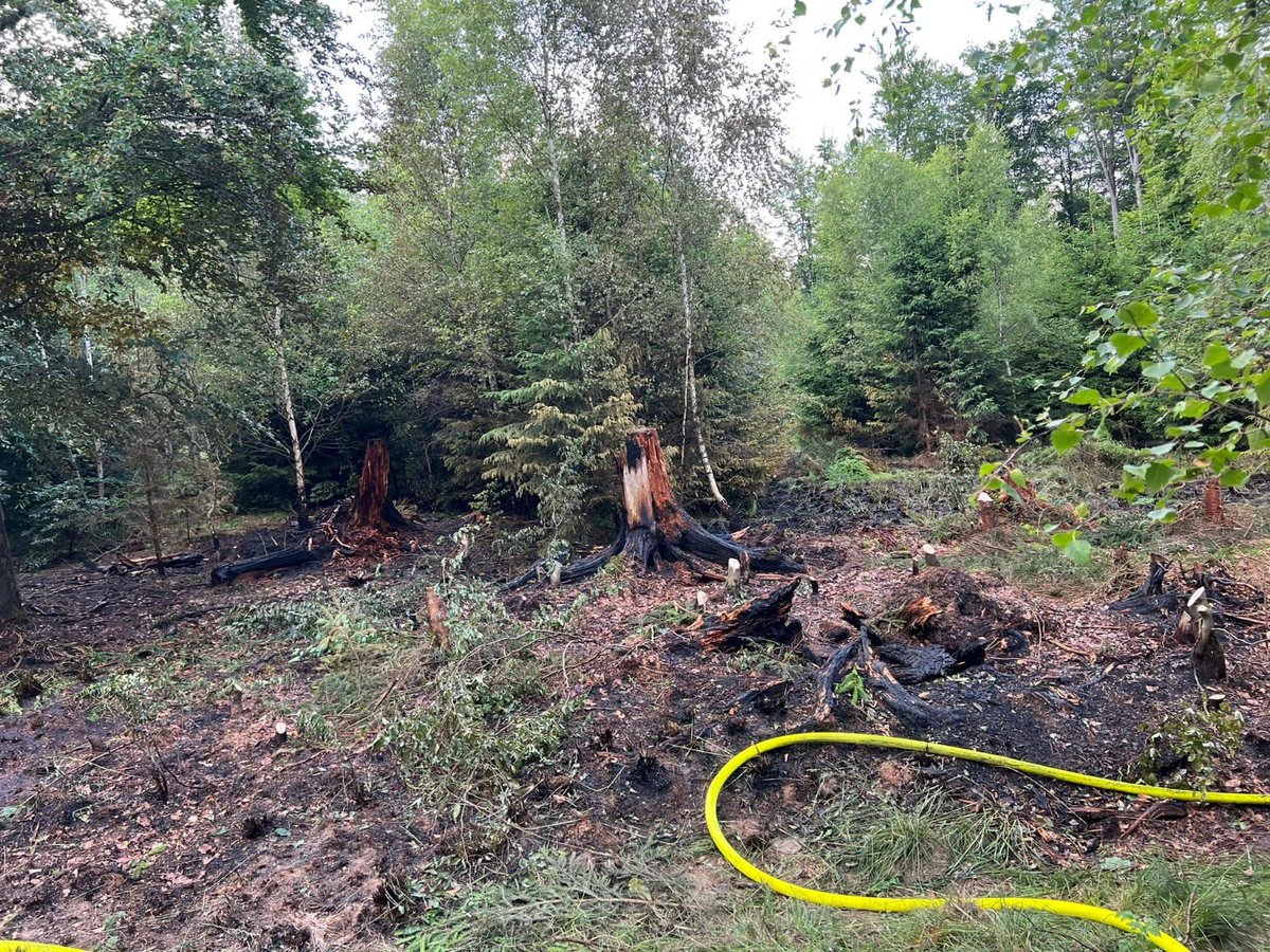 waldbrandkompo's tweet photo. Es brennt zur Zeit wieder täglich in #Hessen|s Wäldern.
Heute unter anderem in #Haiger - #mittelhessen.

3 Führungskräfte der Feuerwehr Haiger haben an unserer Ausbildung im ersten Halbjahr teilgenommen und konnten das erlernte auch unmittelbar anwenden. 👏🏻💪🏻👌🏻🚒🔥🌲🔥 #waldbrand https://t.co/4SLus4KJkW