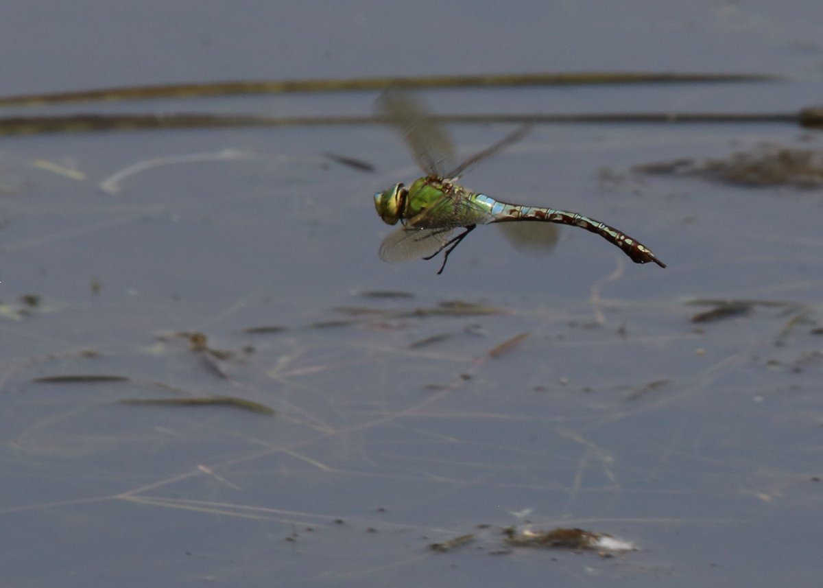 My Guided Walk tweet media