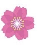 0milktea120's tweet photo. おはよう☀️
いいね押してみて🌟
桜に変わる!?
これ変わらん人運悪いぞ〜
#Flowerheart https://t.co/BOxorOArCL