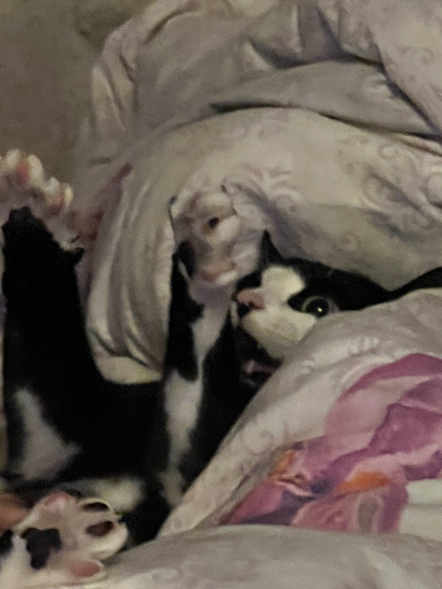 Darksider2322's tweet image. He saw something