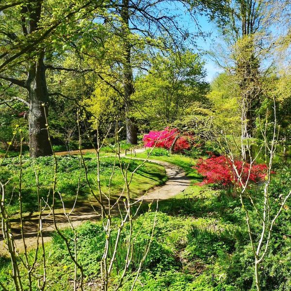 France - Paris
The meaning of meeting each other is to illuminate each other, otherwise, it is beautiful to see the sea alone, and one can be awake by blowing the wind
#travel #life #scenery #soul #culture #customs #experience