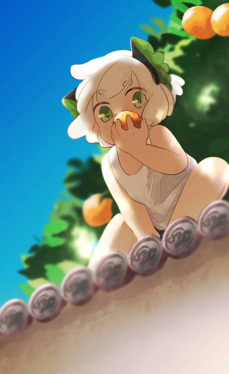 yatyo_n's tweet photo. 🍊🍊 https://t.co/CenUnFIBKk