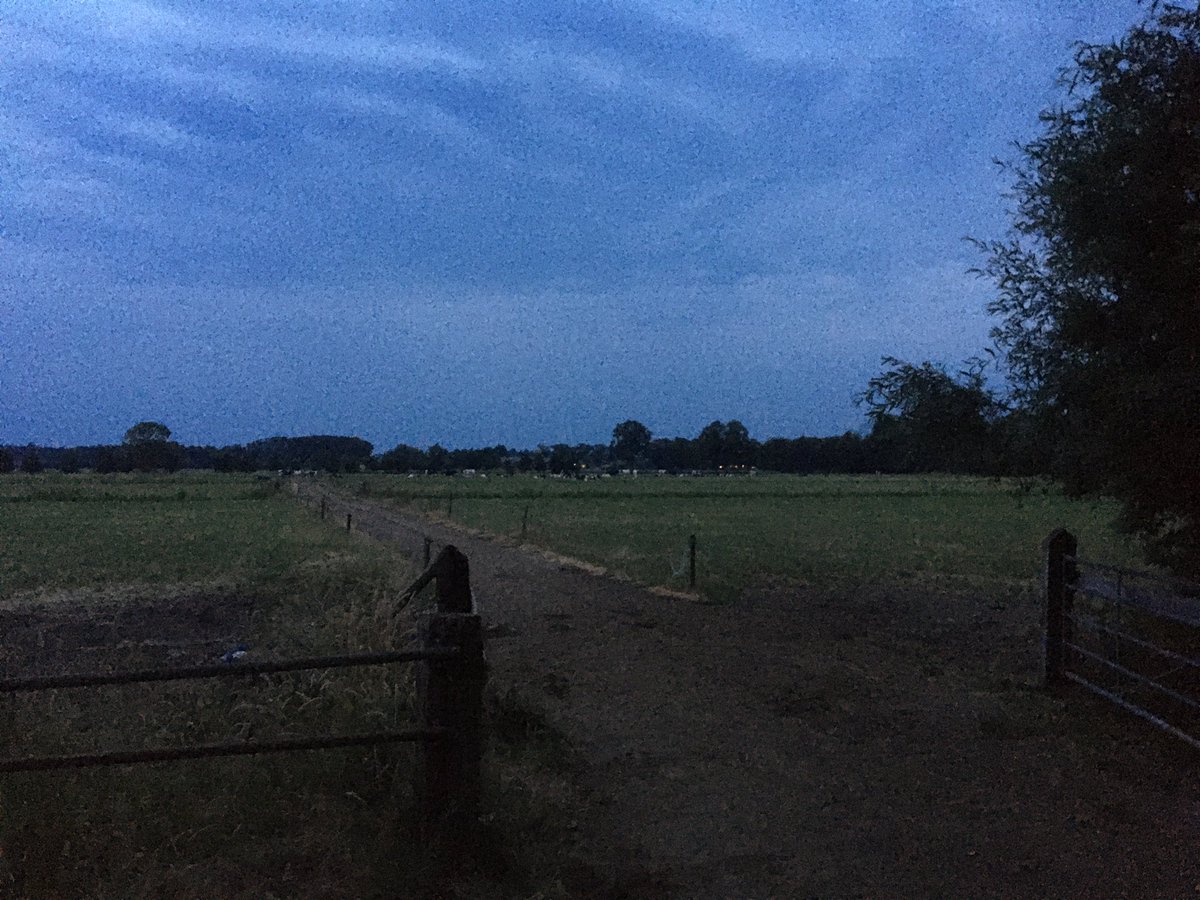 ApeldoornBen's tweet image. Veel koeien lekker buiten, ze mogen zelf weten wanneer ze naar binnen gaan, maar moeten wel een keer gemolken worden. Gelukkig zijn morgenochtend de meeste wel binnen, en al weer gemolken door de #melkrobot