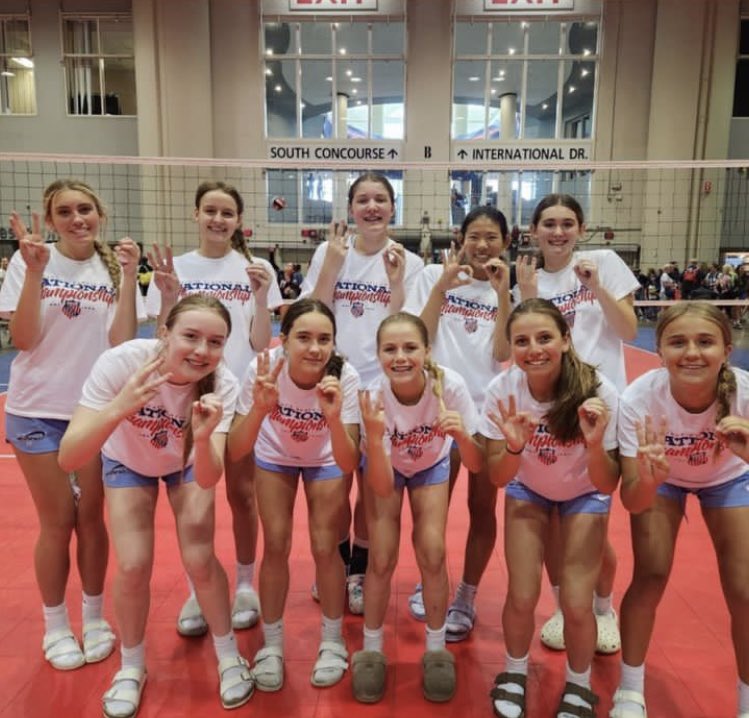 Tess Tortorello tweet media