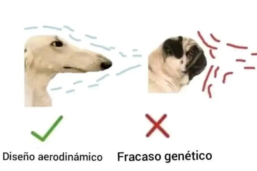 Anti8888888's tweet photo. creo que este es mi favorito https://t.co/OXod2q5lNP