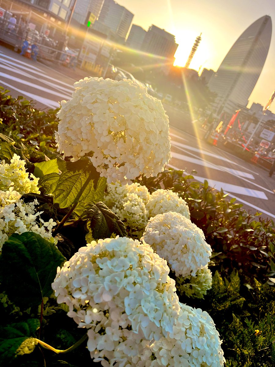 おはようございます！
#渋谷区 晴れ🌤
6月19日月曜日！

憂鬱な月曜日をもっとたのしくおもしろくするには？☞ lin.ee/N2FvfxM 

本日はオンラインでワンネス！🖥
よろしくお願いします🧡

#企業公式が毎朝地元の天気を言い合う
#企業公式相互フォロー
#企業公式夏のフォロー祭り