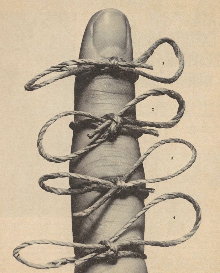 paniEMES's tweet image. #nocka

#Unknow